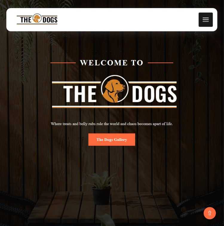 Website Example Image=